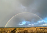 Half Moon Bay