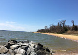 Newtowne Neck State Park