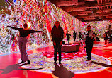 Illuminarium Toronto