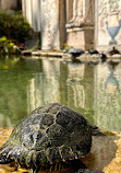 Vatican Gardens Bust