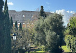 Tour in The City Rome