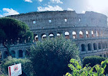 Tour in The City Rome