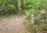 USNWC South Main Trailhead