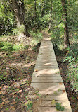 USNWC South Main Trailhead