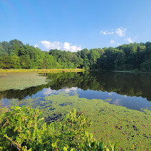 Reedy Creek Park