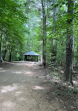 Reedy Creek Park