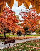 Boston Common Visitors Center