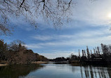 Inokashira Pond