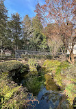 Inokashira Pond