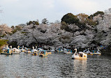 Inokashira Pond