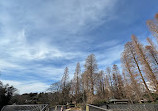 Inokashira Pond