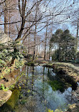 Inokashira Pond