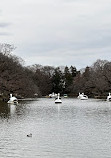 Inokashira Pond