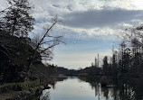 Inokashira Pond