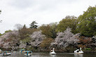 Inokashira Pond