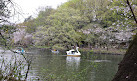 Inokashira Pond