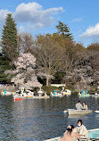 Inokashira Pond