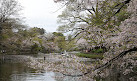 Inokashira Pond