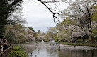 Inokashira Pond