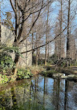 Inokashira Pond