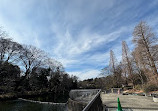 Inokashira Pond