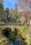 Inokashira Pond