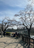 Inokashira Pond