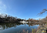 Inokashira Pond