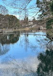 Inokashira Pond