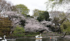 Inokashira Pond