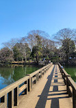 Inokashira Pond