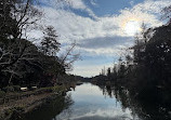 Inokashira Pond