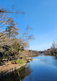 Inokashira Pond