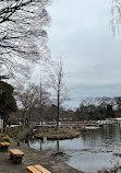 Inokashira Pond