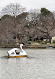 Inokashira Pond