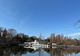 Inokashira Pond