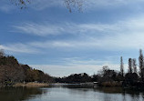 Inokashira Pond