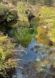 Inokashira Pond