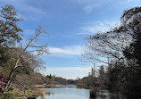 Inokashira Pond