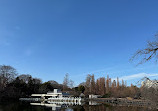 Inokashira Pond