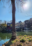 Inokashira Pond