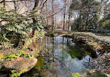 Inokashira Pond