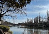 Inokashira Pond