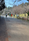 Inokashira Pond