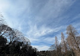 Inokashira Pond