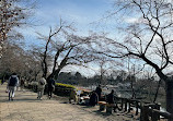 Inokashira Pond