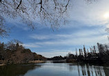 Inokashira Pond