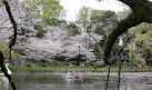 Inokashira Pond