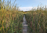 Cutler Park Reservation