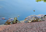 Punggol Point Park